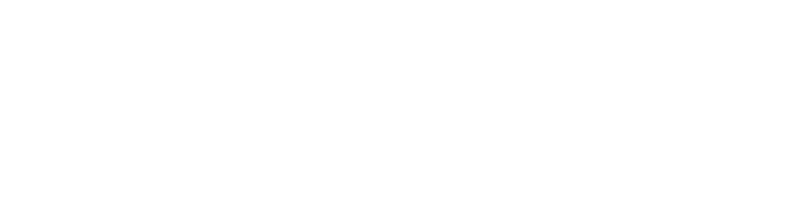 Logo White
